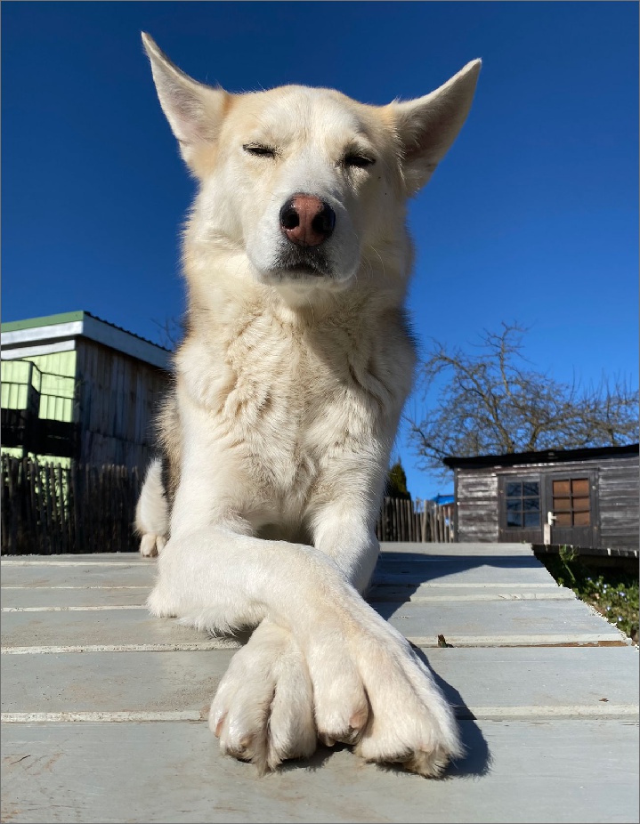 Keine Beschreibung vorhanden.